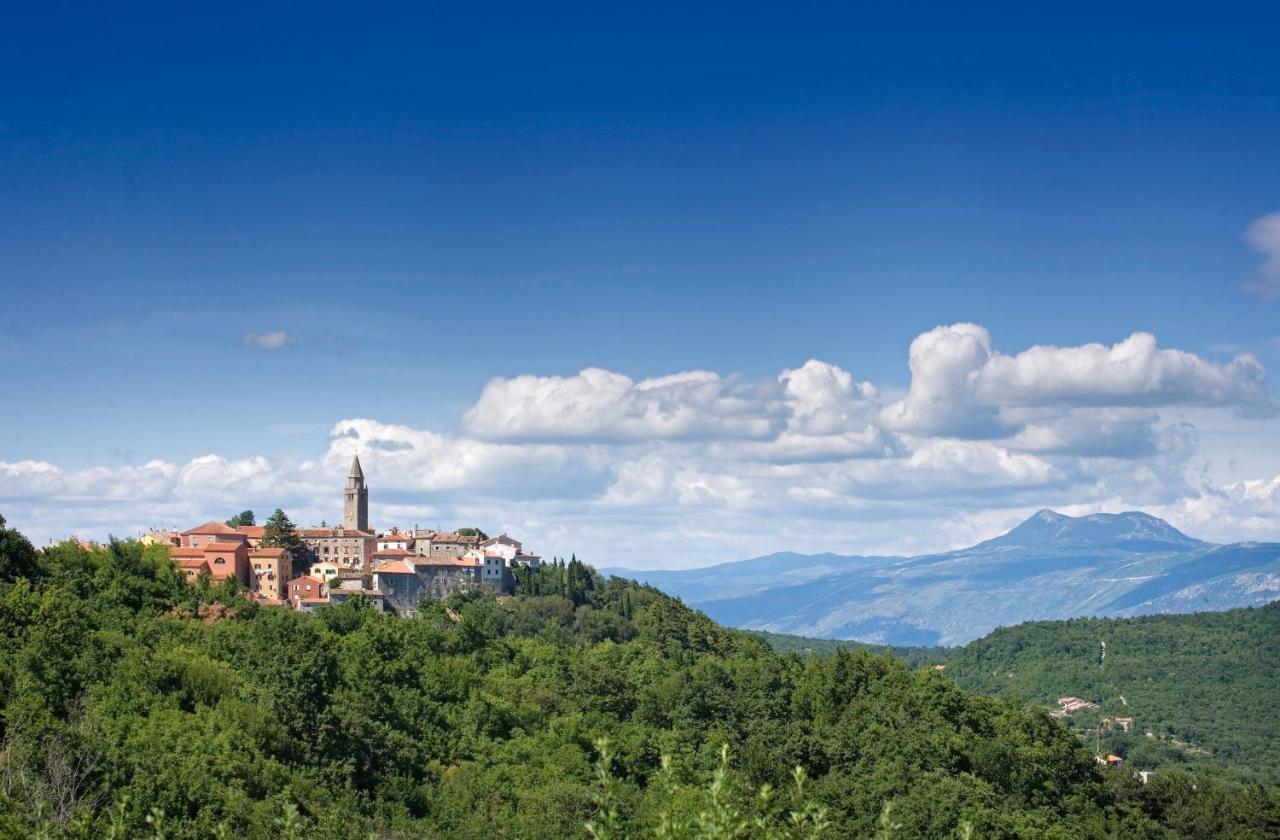 Roinizza In Prtlog Villa Labin  Kültér fotó