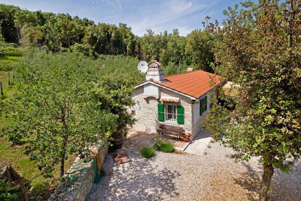 Roinizza In Prtlog Villa Labin  Kültér fotó