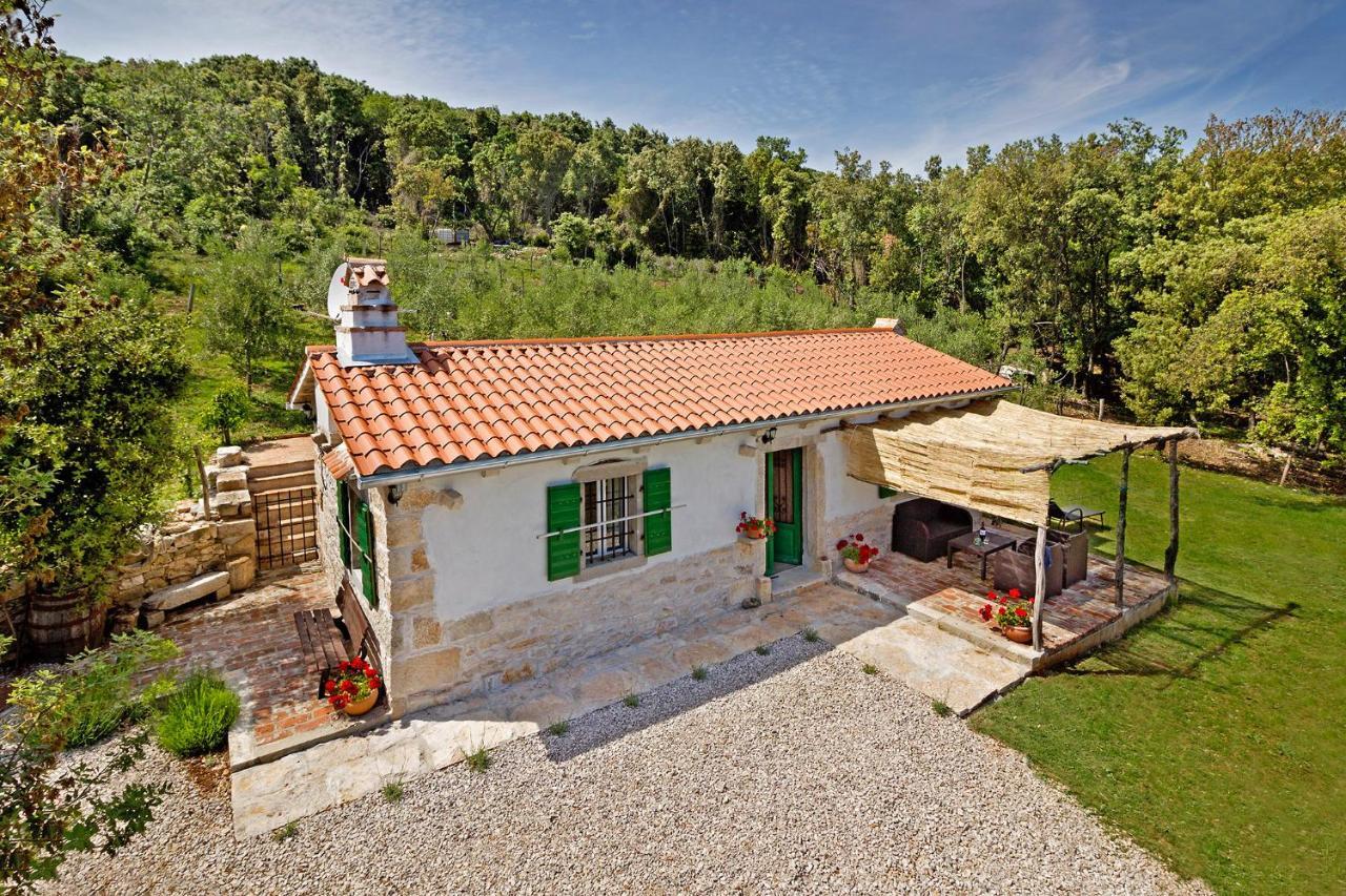 Roinizza In Prtlog Villa Labin  Kültér fotó